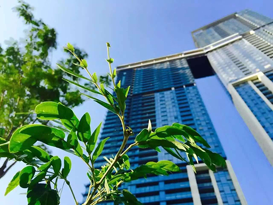 Shenye Uptown
